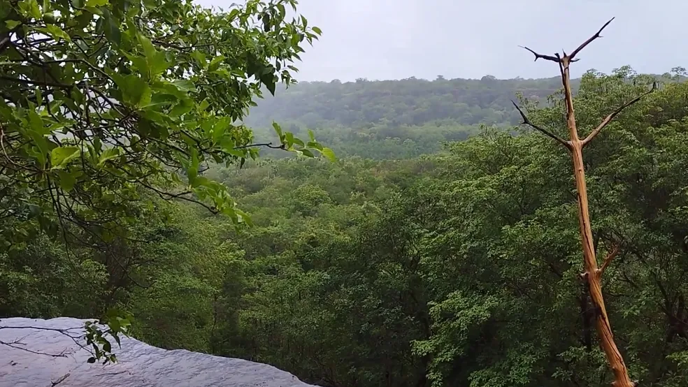 vistaburiti